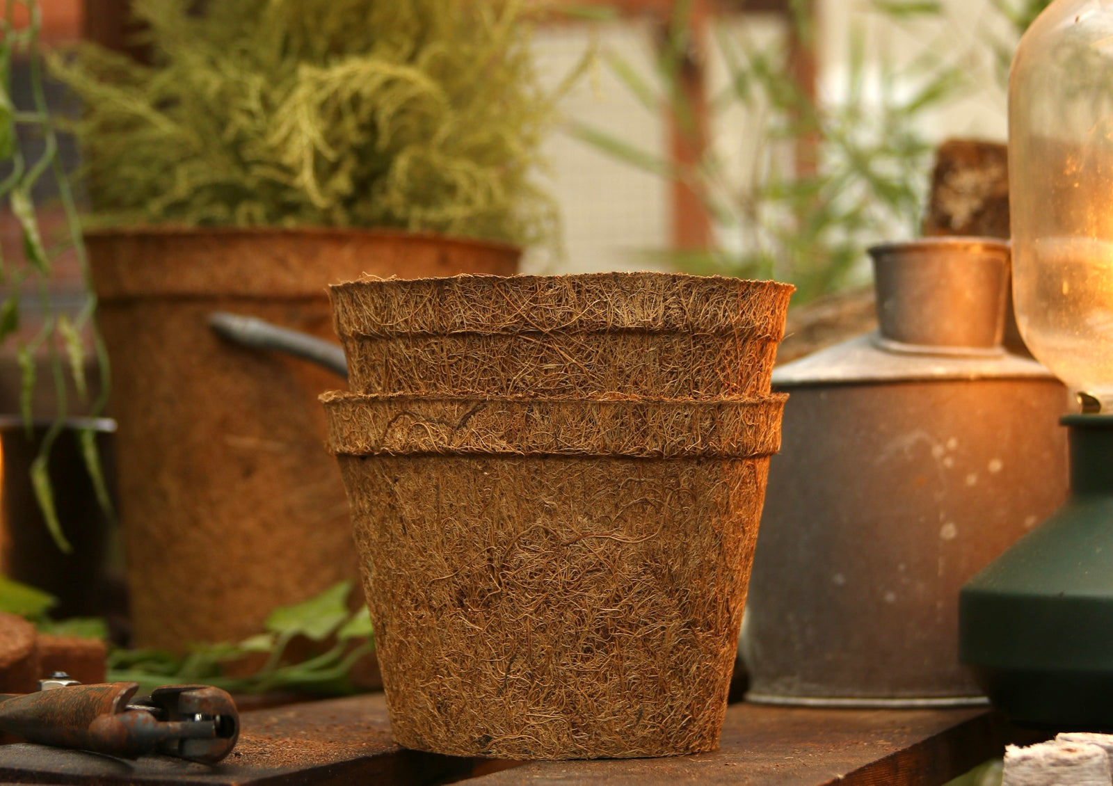 17cm Coir Pots Pack Of 10