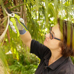 Bypass Secateurs, Razorsharp Med Ergo Grips, Kew Gardens Range