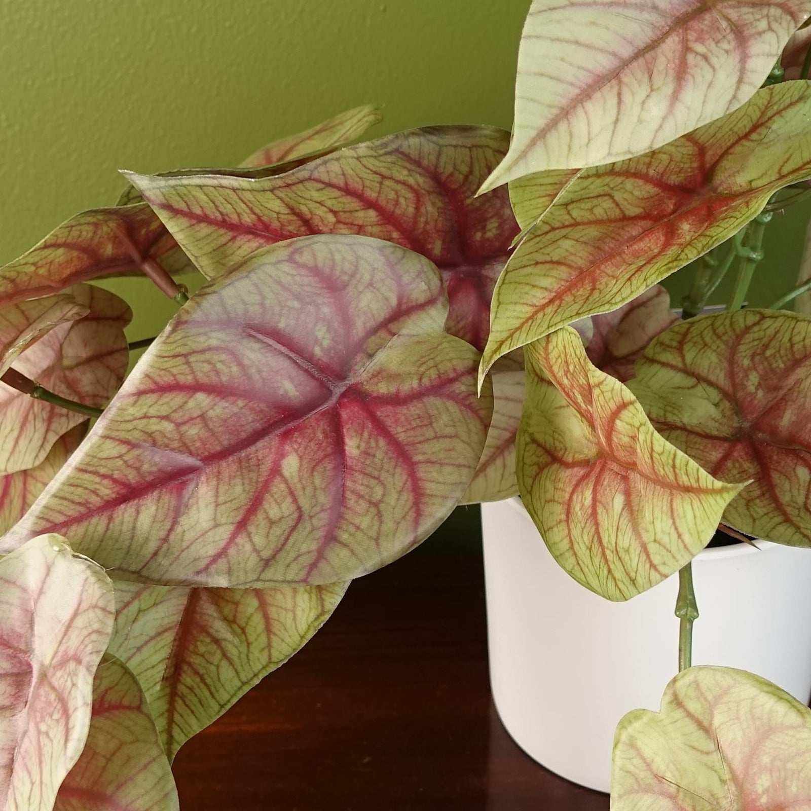 Artificial 30cm Pink Caladium Potted Trailing Plant