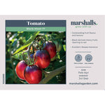 Black Moon Tomato Seeds | Set of 8