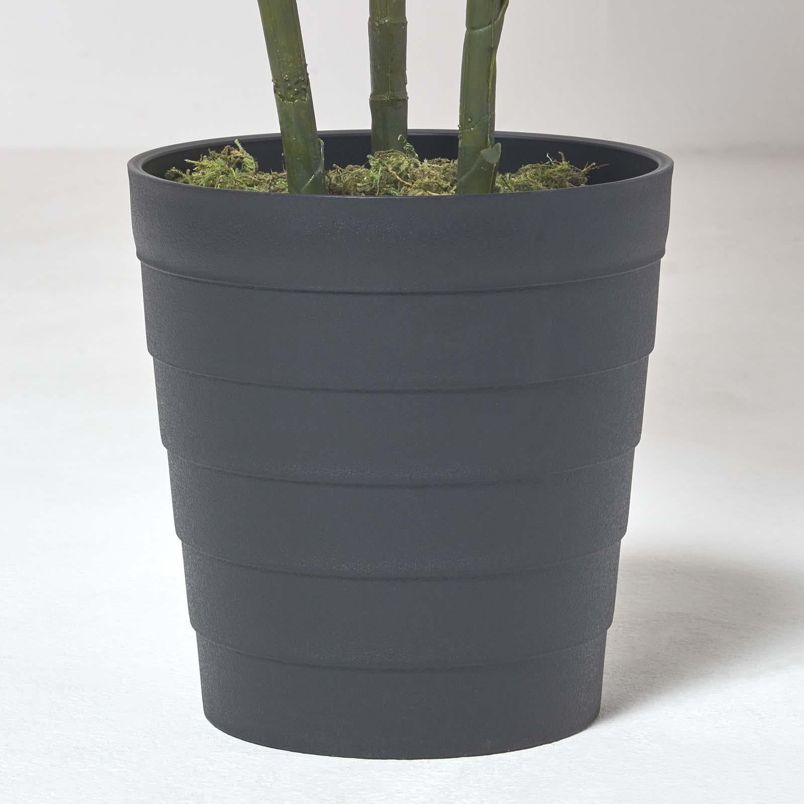 Multi Stem Green Palm Tree In Pot | 180cm | Green