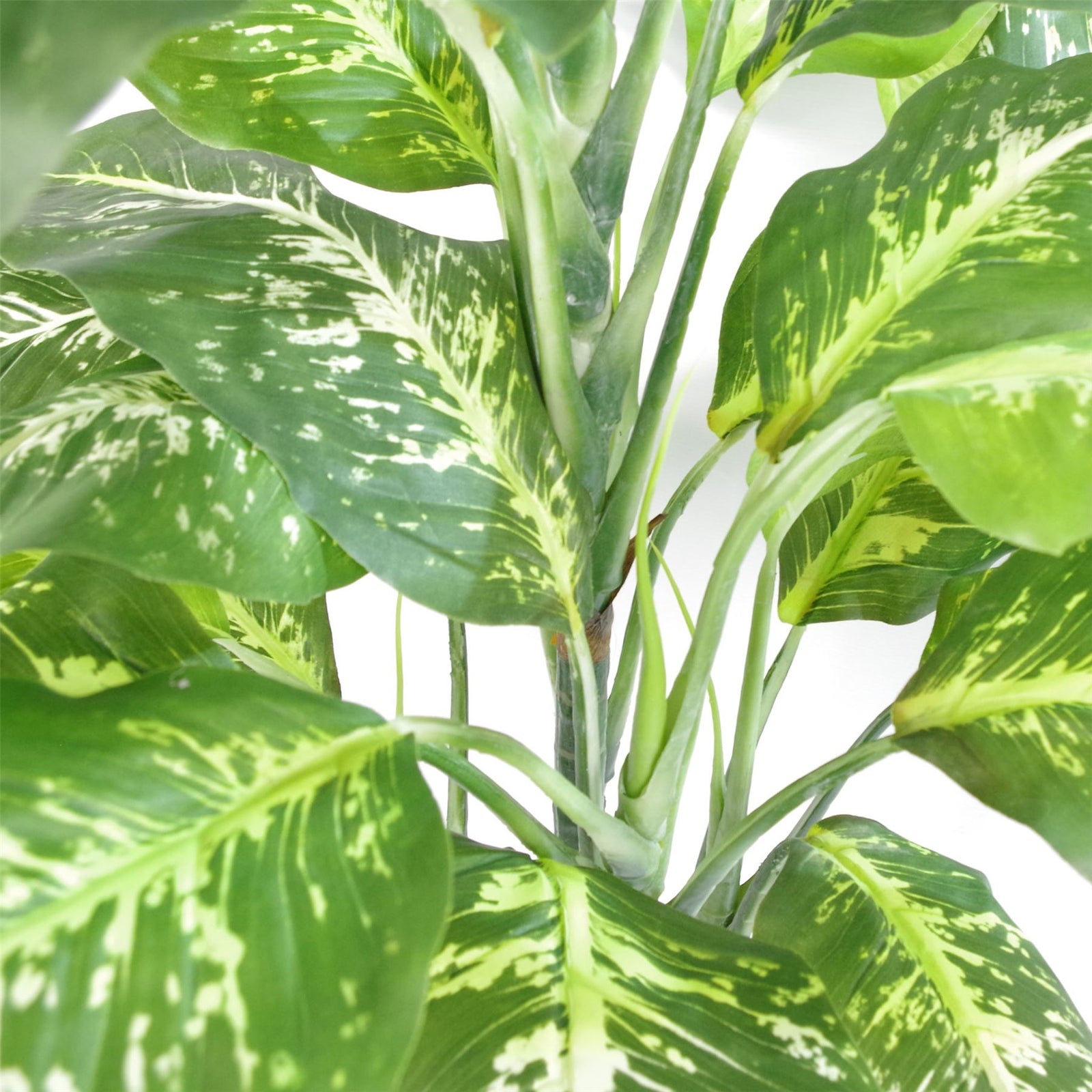 Artificial 100cm Large Fox's Aglaonema Tree Plant