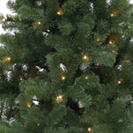 Winter Fir Green Pre-lit Artificial Christmas Tree - Led Multi Function Lights | 6ft