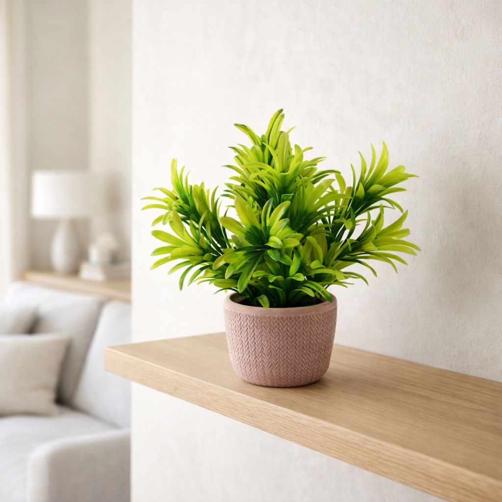 22cm Foliage Honey Plant Light Green In Terracotta Pot