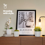 12cm Plant Pots Set Of 3 - White Sandstone