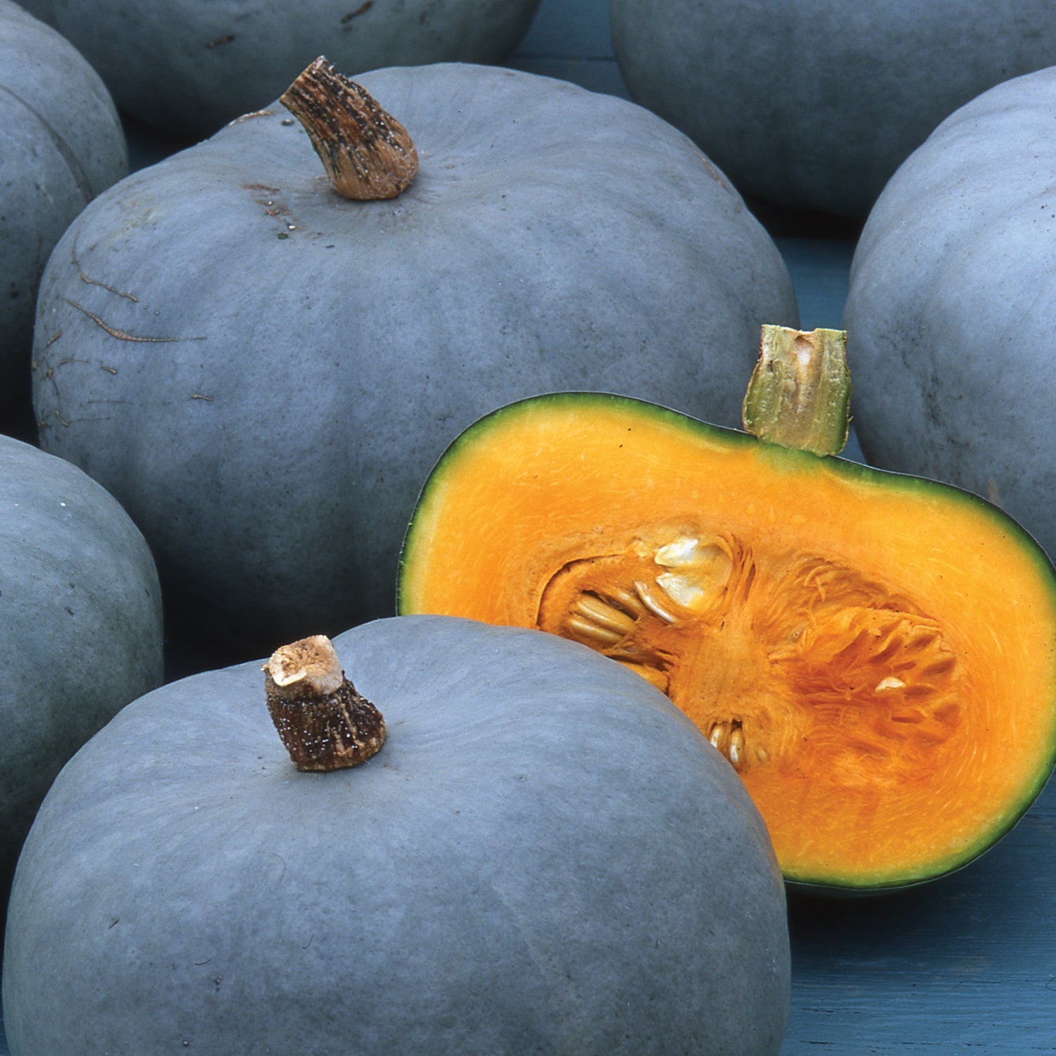 Pumpkin Plant 'halloween Collection' - 3 Rare Varieties For Roasting, Carving And Display | 3 x Jumbo Plugs | Orange