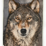 Wolf Printed Throw With Faux Fur Back