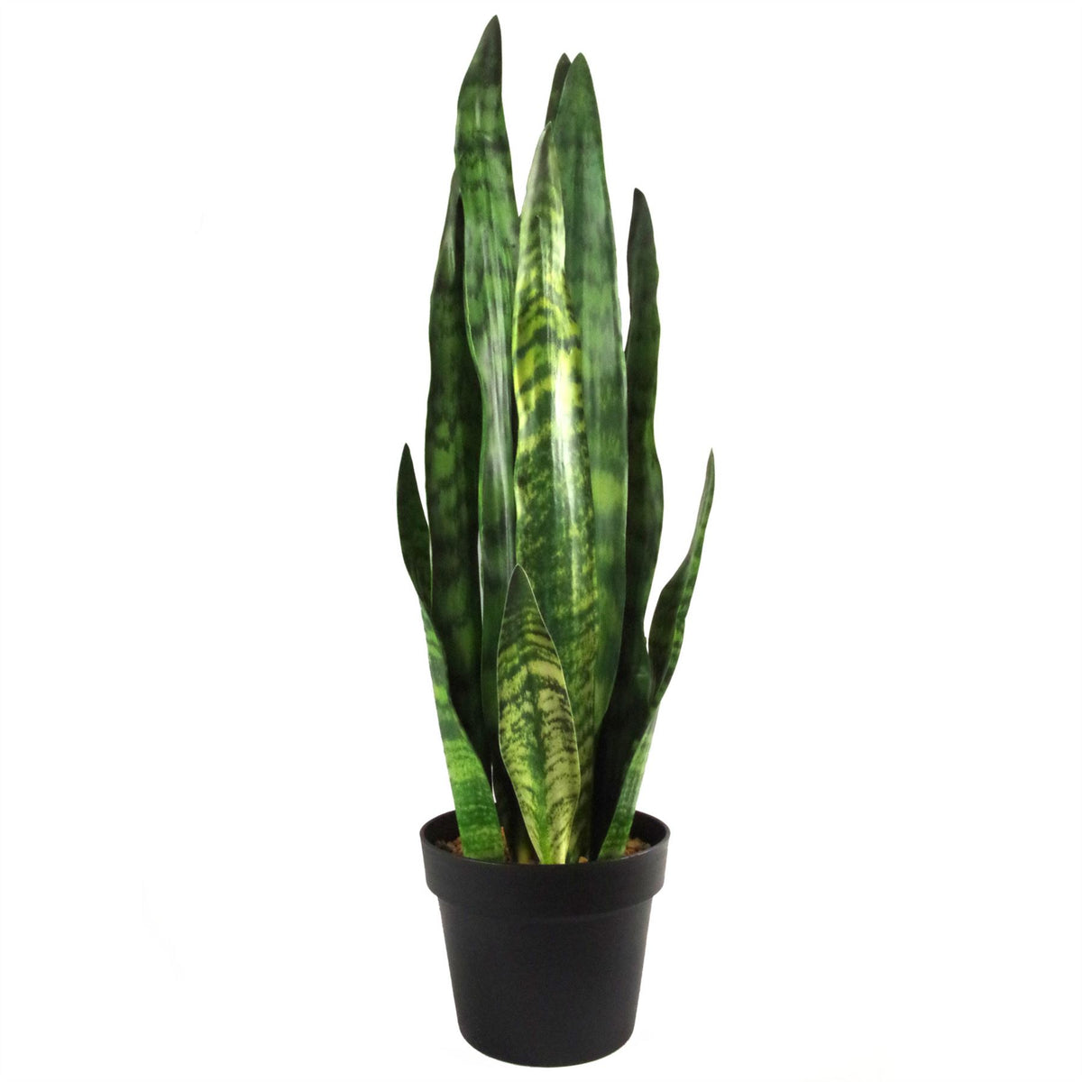 Artificial Sansevieria Zeylanica Plant 70cm