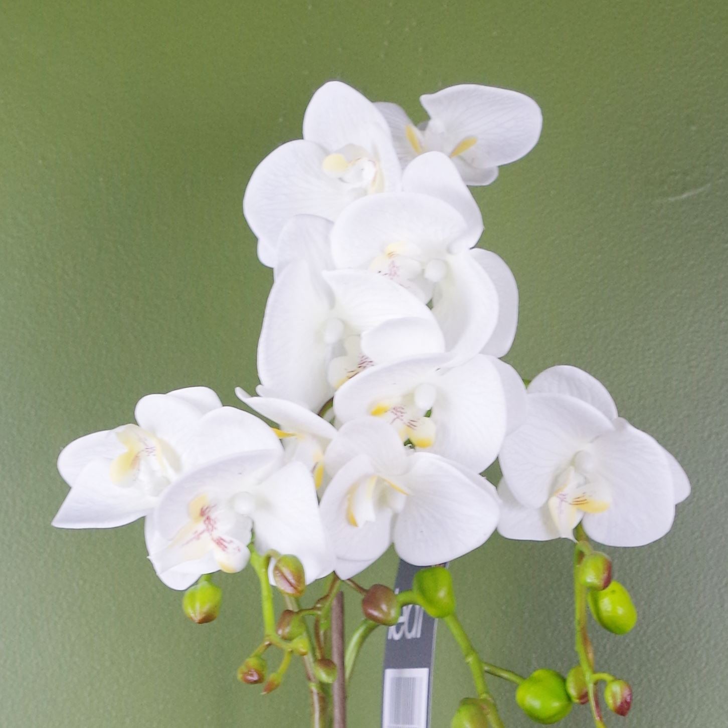 Artificial 54cm Orchid Plant White With Gold Pot