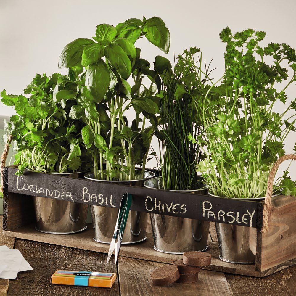 Gift Chalk Board Herb Garden Gift Set