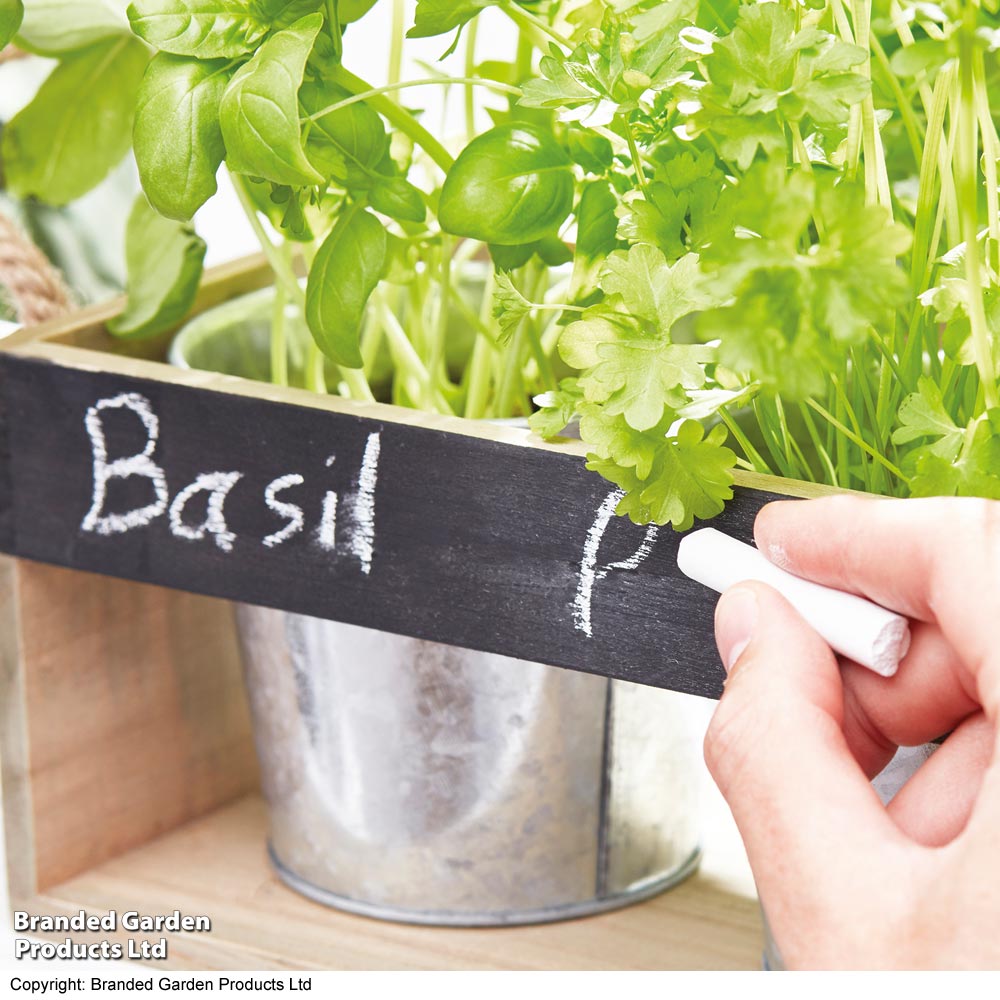 Gift Chalk Board Herb Garden Gift Set
