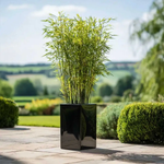 Zinc Galvanised Tall Square Planter | 25cm x 25cm x 50cm | Glossy Black