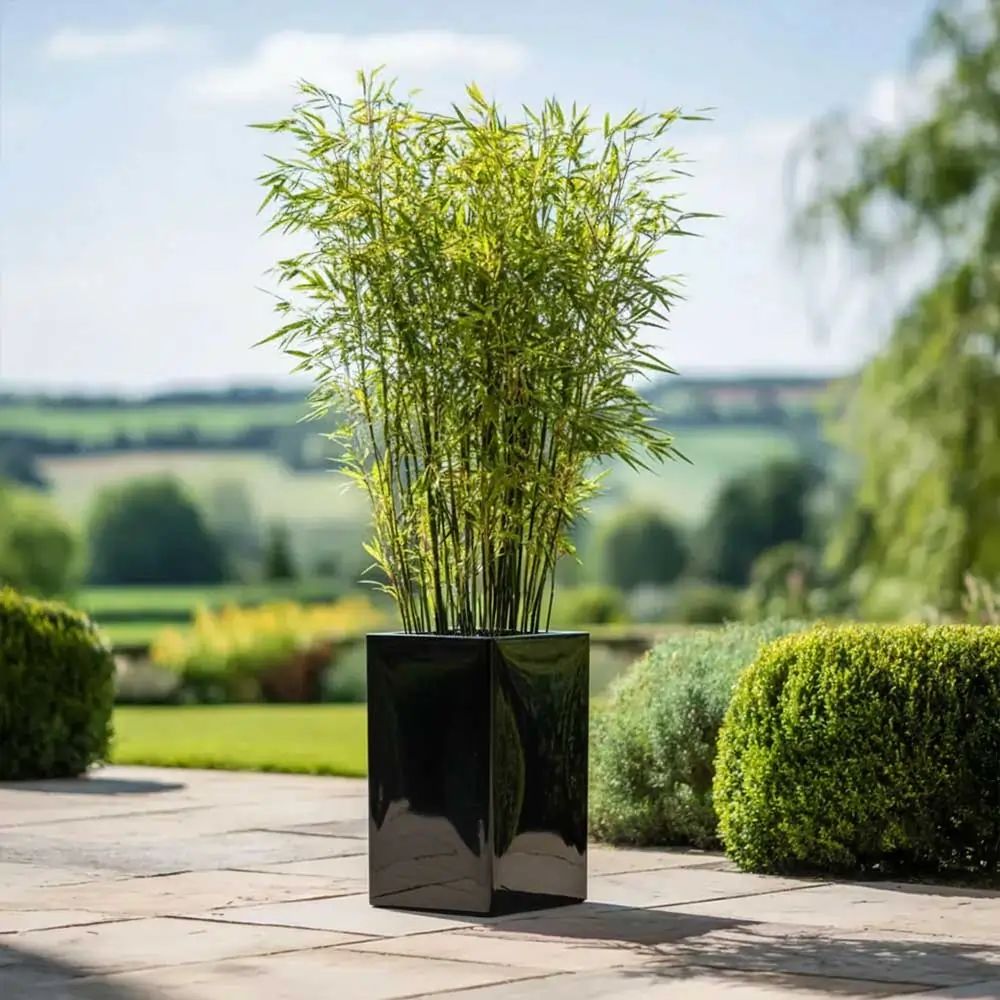 Zinc Galvanised Tall Square Planter | 25cm x 25cm x 50cm | Glossy Black