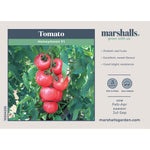 Honeymoon F1 Salad Tomato Seeds | 6 Seeds