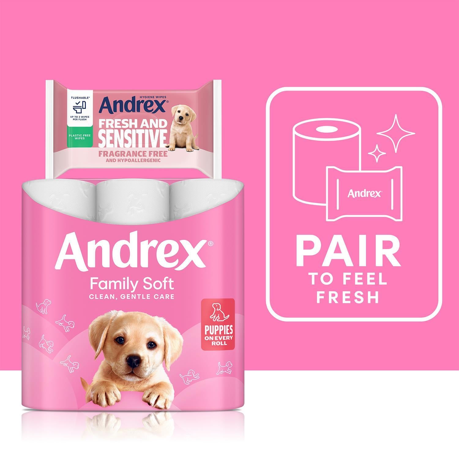 Andrex Gentle 2-ply Toilet Paper 24 Rolls + Ultra Care Washlets 12 Pack