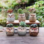 6pcs Mini Ceramic Owl Succulents Plant Pot With Plant Saucers
