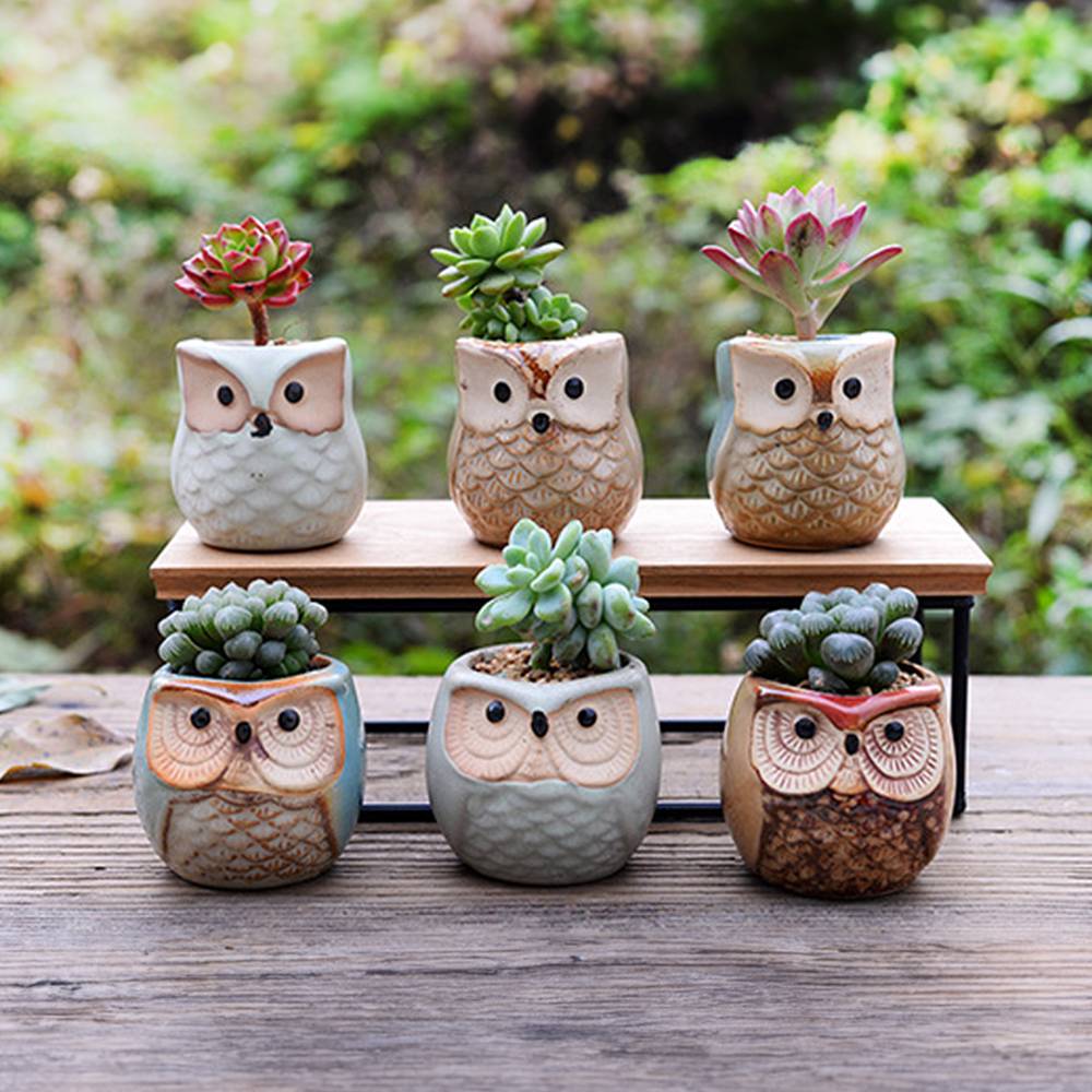 6pcs Mini Ceramic Owl Succulents Plant Pot With Plant Saucers
