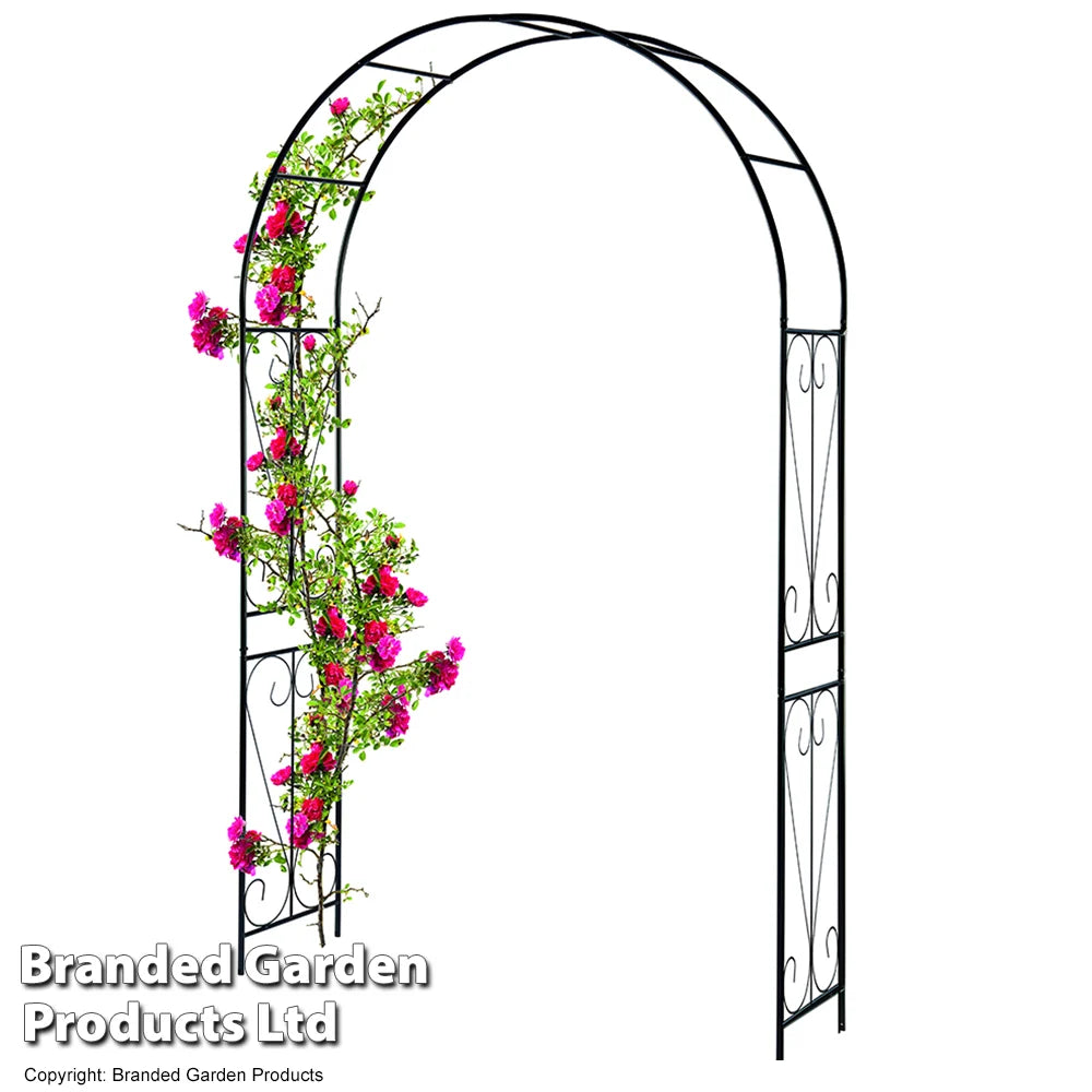 Metal Garden Arch 2.2m Swirl Design