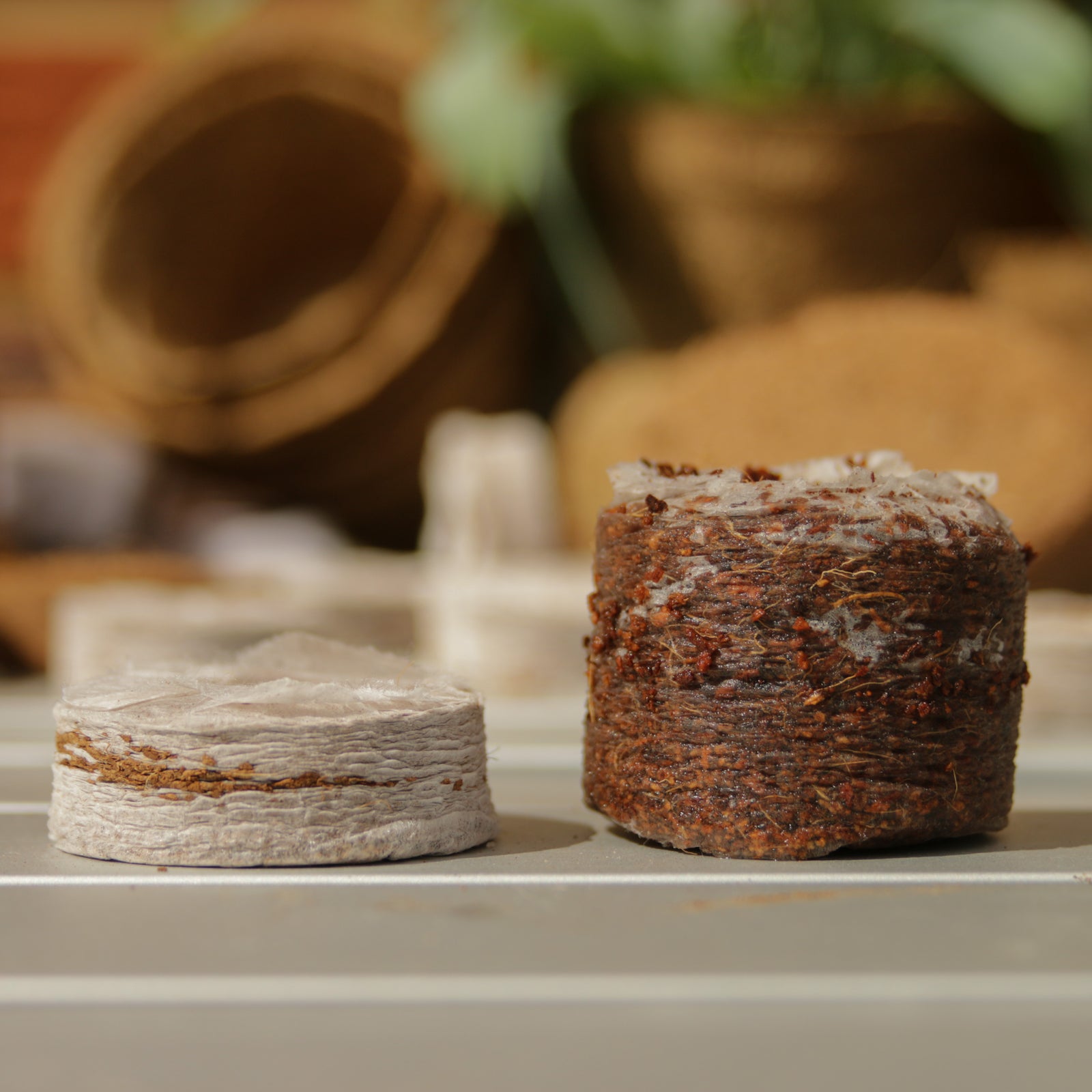 Coircoins 25mm Pack Of 50