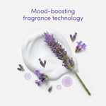 Body + Mind Bath Salts, French Lavender & Oat Milk, 400g | Set-of-6