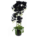 110cm Artificial Black Orchid Plant Artifcial 41 Real Touch Flowers