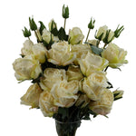 6 X 60cm Cream Rose Artificial Flower Sprays - 24 Flowers 18 Buds