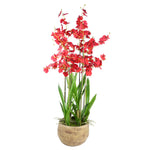 Artificial 90cm Oncidium Orchid Red In Stoneware Planter