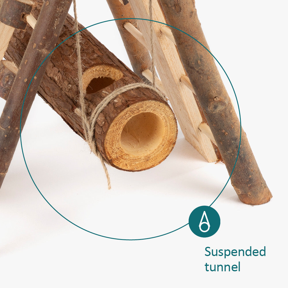 Hamster Wooden Climbing Wall