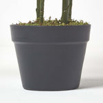 Areca Palm Tree In Pot | 120cm | Green
