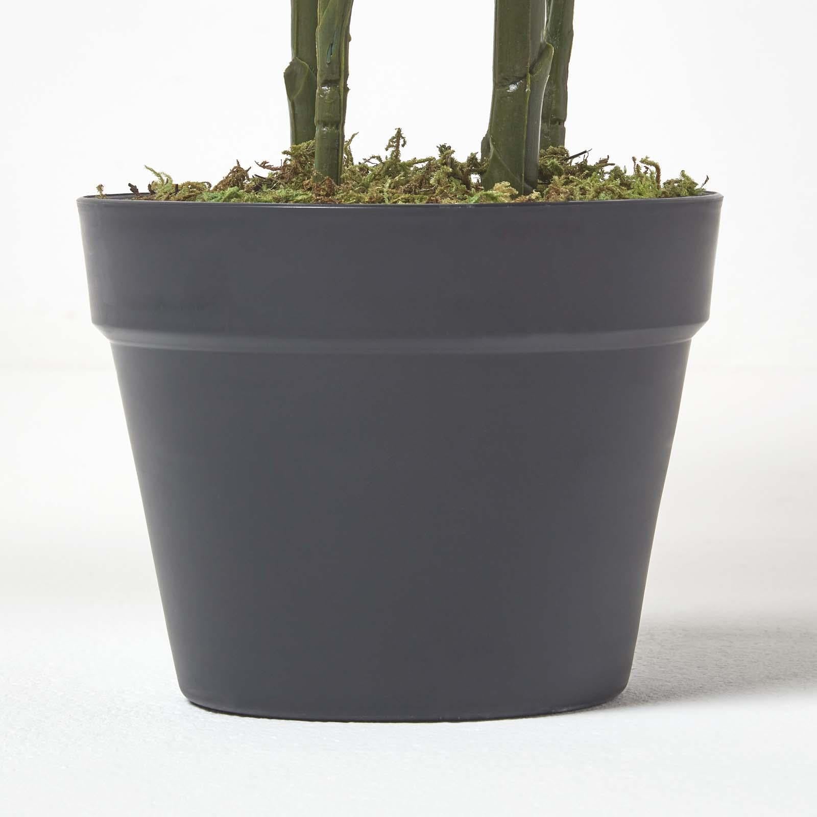 Areca Palm Tree In Pot | 120cm | Green