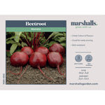 Beetroot 'moneta' Monogerm Slow To Bolt | 200 Seeds