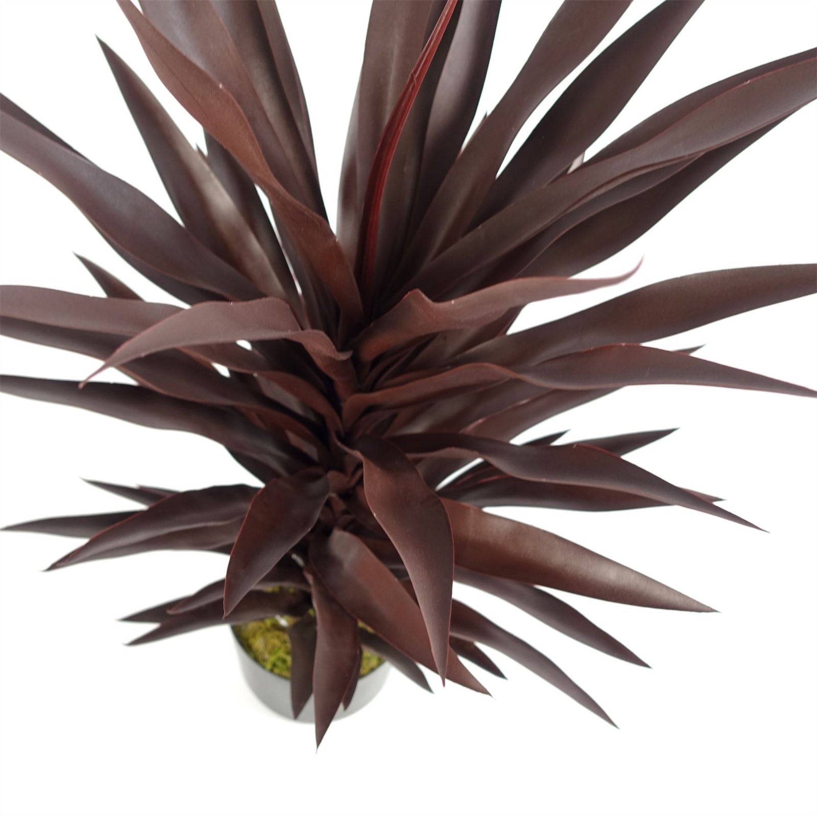 Artificial 85cm Dark Red Yucca Plant