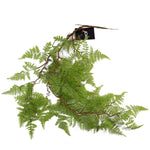 Artificial 100cm Hanging Maidenhair Fern Plant Light Green