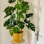 Artificial Monstera Plant 100cm Monstera
