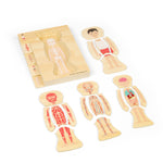 Wooden Human Anatomy Puzzle (Male)