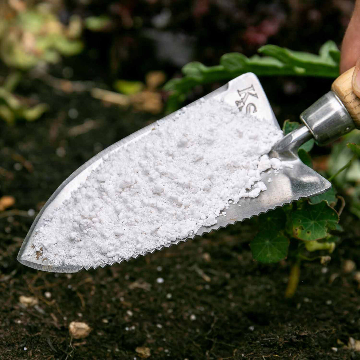Perlite Horticultural Grade 100l Bag | Set of 1