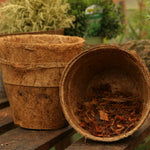 23cm Coir Pots Pack Of 10