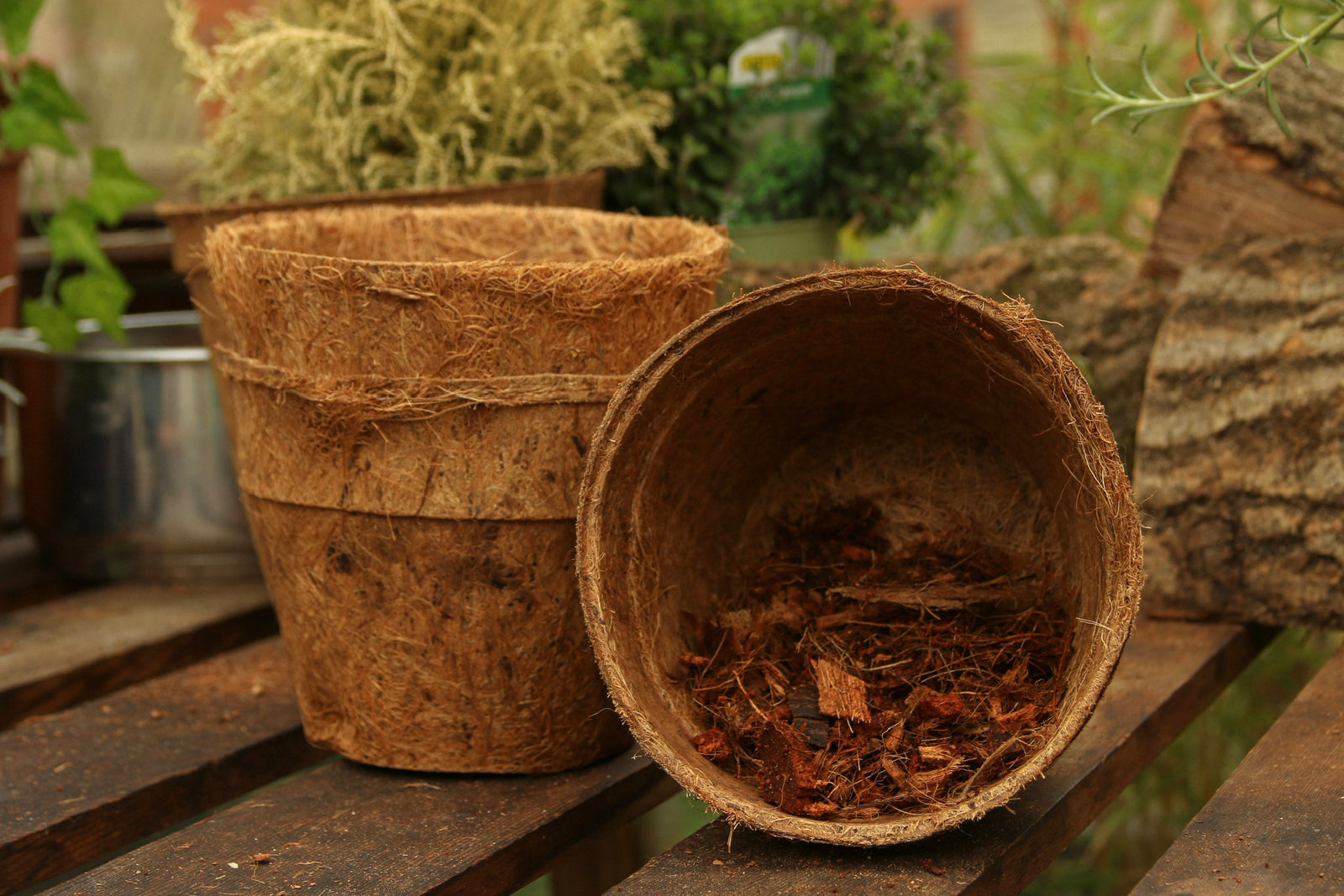 23cm Coir Pots Pack Of 10