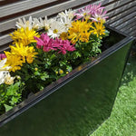 Long Zinc Galvanised Tall Trough Planter | 120cm x 40cm x 100cm | Glossy Black