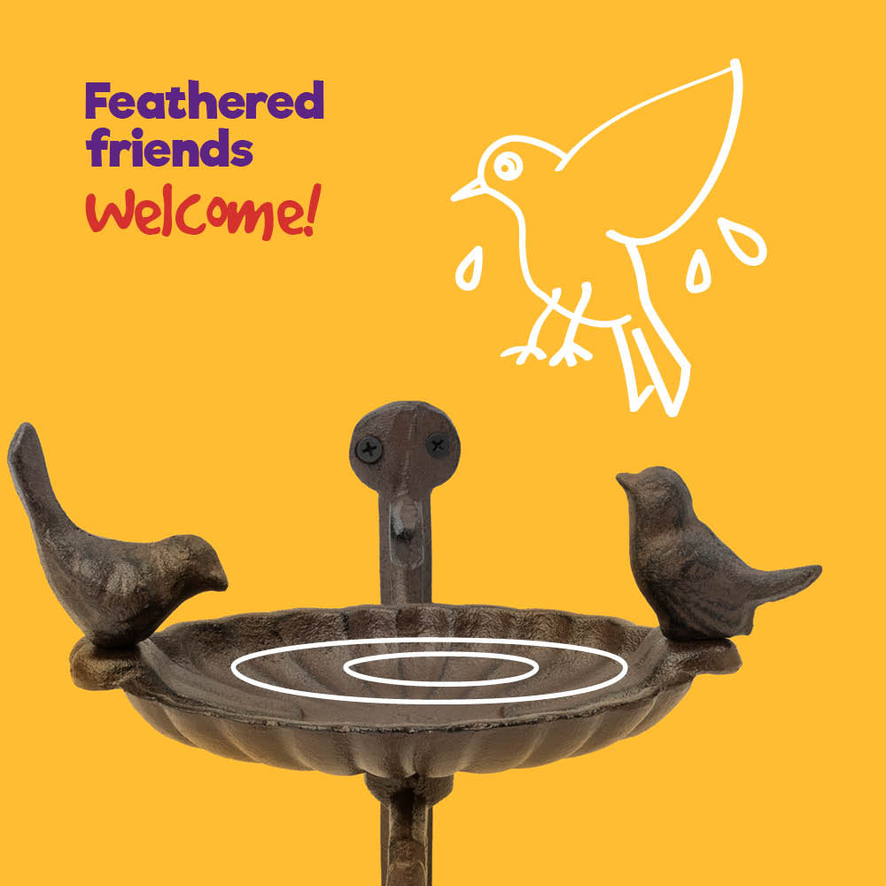 Petlicity Wall Mounted Cast Iron Bird Bath And Feeder Garden Bird Bath Basin With Bracket Rustic Outdoor Decor