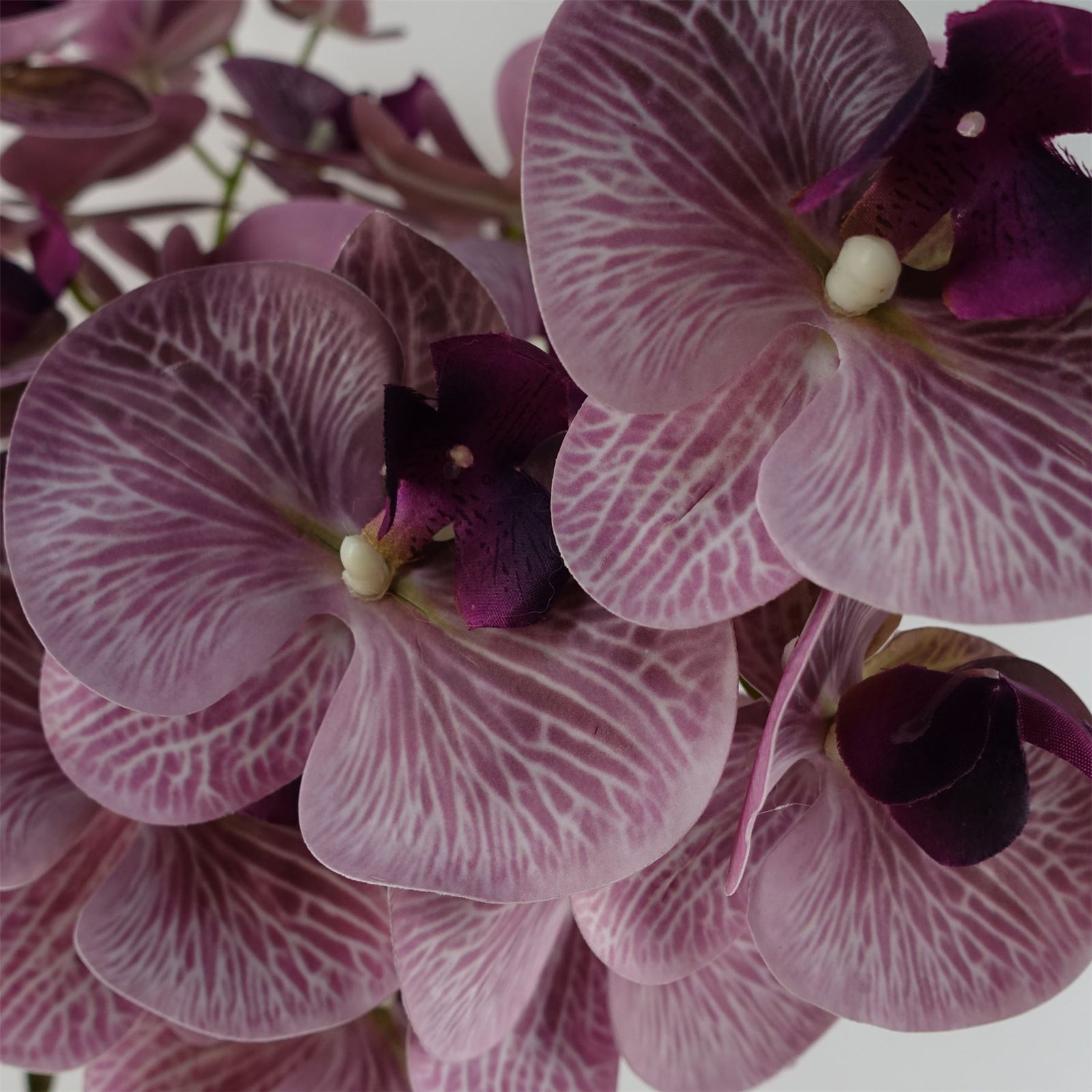 Pack Of 6 X 100cm Artificial Phalaenopsis Orchid Purple Stem - 42 Flowers