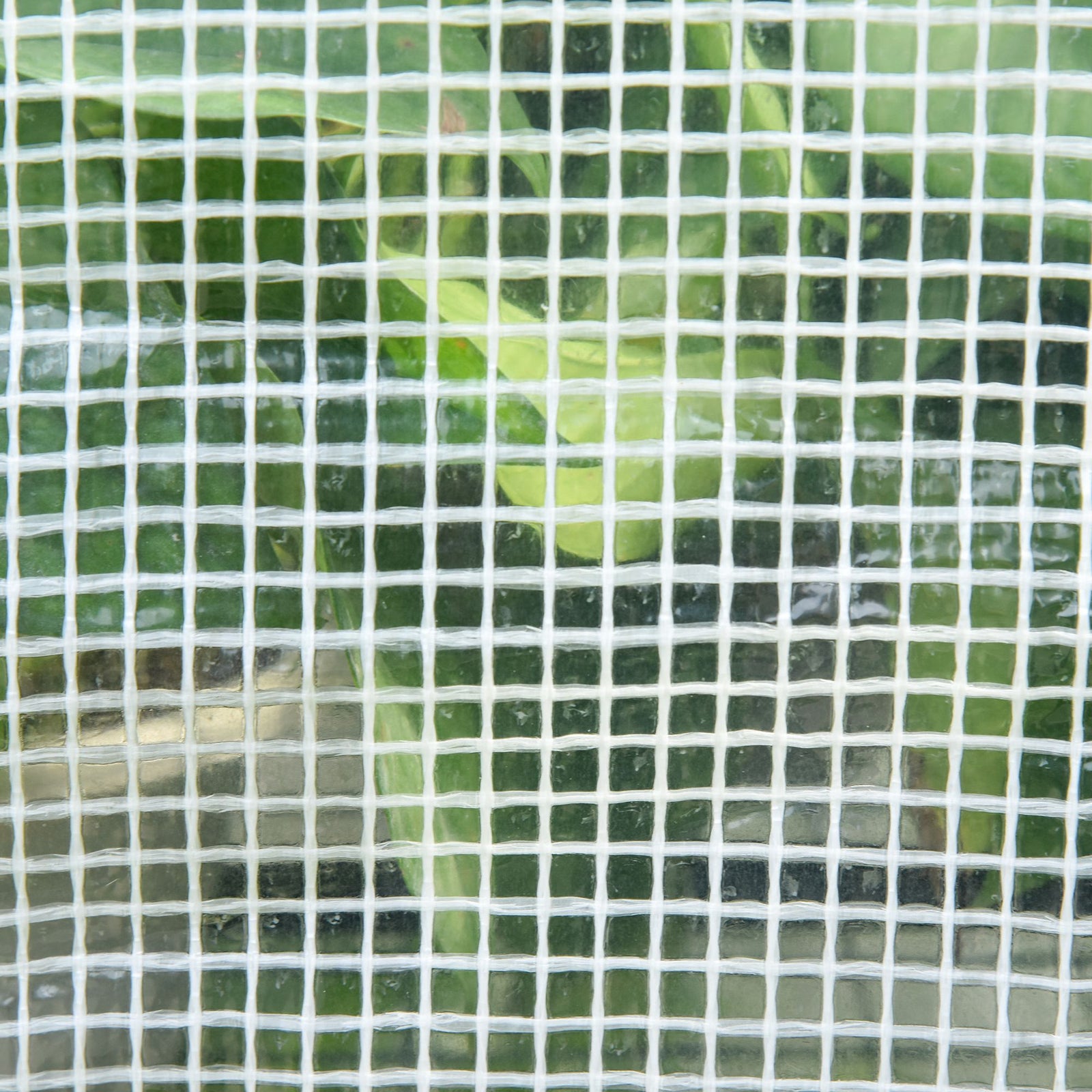 Greenhouse W/ 2 Tier Shelf & Roll-up Door - Clear | 143 x 73 x 195cm | Clear