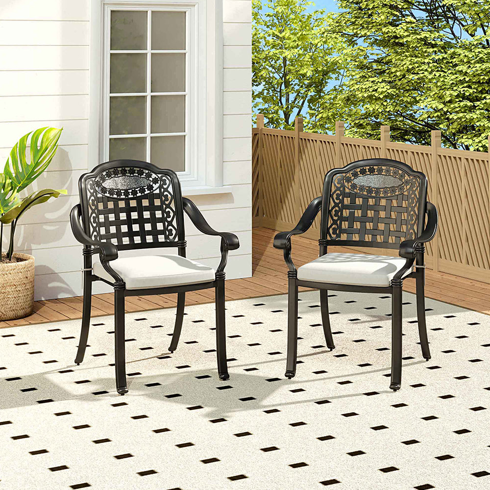 Set Of 2 Outdoor Dining Chairs With Cushions Cast Aluminium