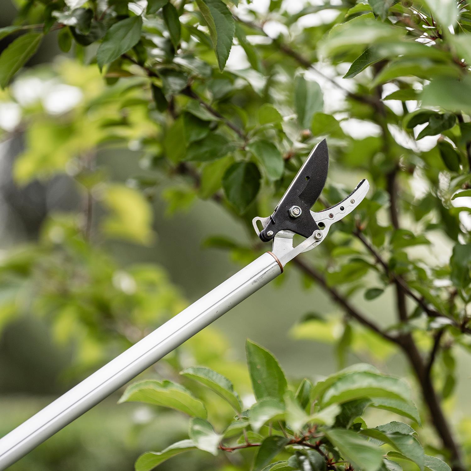 Surecut Long Reach Pruner, 1.3m - 10mm Cutting Diameter