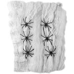 Spider Web Decoration