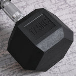 17.5kg Hex Rubber Dumbbell For Home Exercise | Black