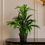 65cm Artificial Large  Bamboo Shrub Plant