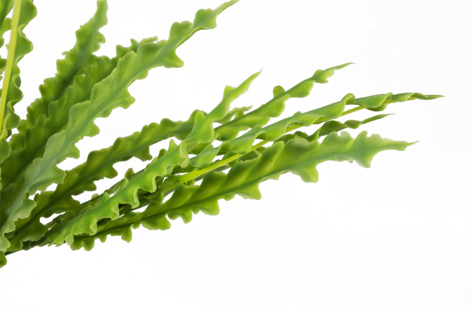 Artificial Fern Plant 40cm Artificial Crocodile Fern Plant Pack 12