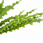 Artificial Fern Plant 40cm Artificial Crocodile Fern Plant