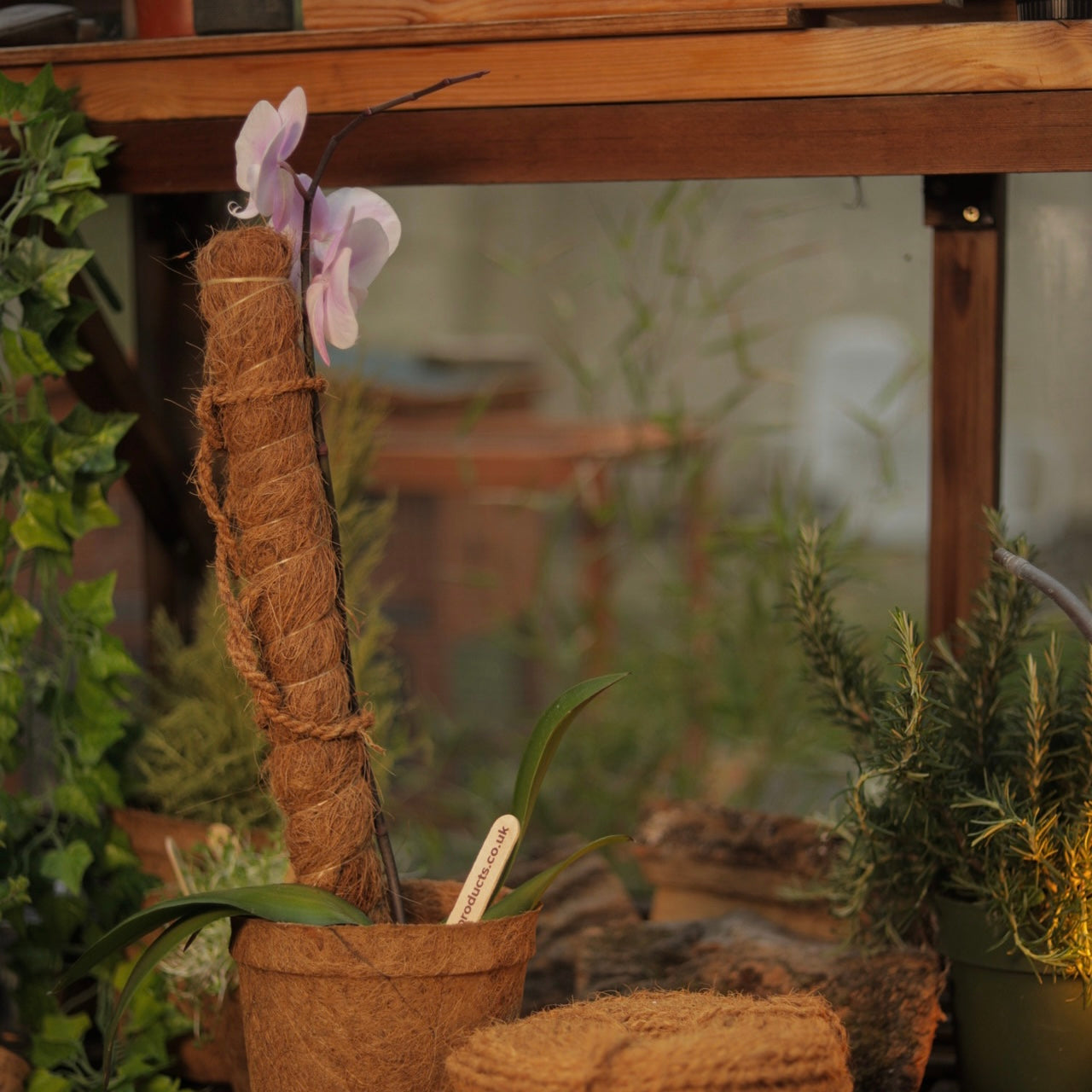 Grow Pole | 100cm